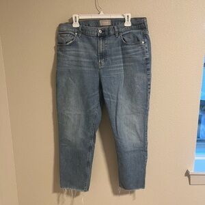 Everlane The Cheeky Jean size 34 crop